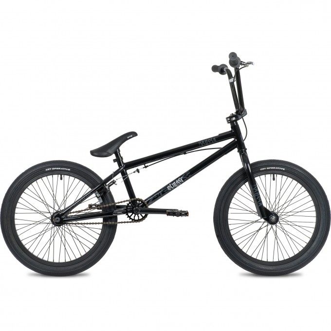 Велосипед BMX STINGER GANSTA чёрный 20BMX.GANSTA.10BK1 Велосипед BMX STINGER GANSTA чёрный 20BMX.GANSTA.10BK1